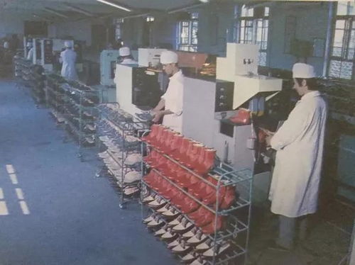 制鞋巧匠 玩转 300余台设备 八十年代抚顺市制鞋装具厂超牛